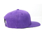 100 ٪ الاكريليك شخصية Snapback القبعات / التطريز شعار Snapback قبعة وقبعة