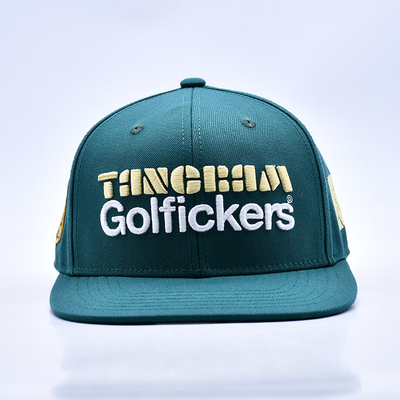 شعار طلاء ثلاثي الأبعاد الجودة الأنيقة 6 ألواح قبعة Snapback