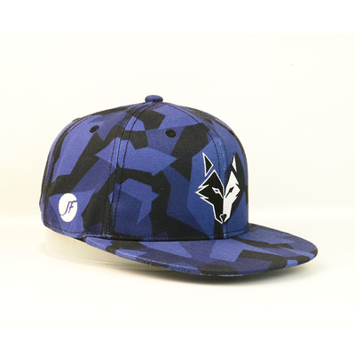 OEM / ODM التطريز شقة بريم Snapback القبعات ، ملون 6 لوحة Snapbacks قبعة