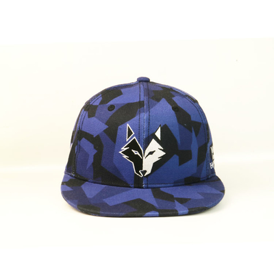 OEM / ODM التطريز شقة بريم Snapback القبعات ، ملون 6 لوحة Snapbacks قبعة