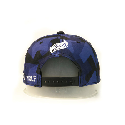 OEM / ODM التطريز شقة بريم Snapback القبعات ، ملون 6 لوحة Snapbacks قبعة