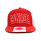 3D التطريز الأحمر شقة حافة القبعات Snapback رمز مخصص